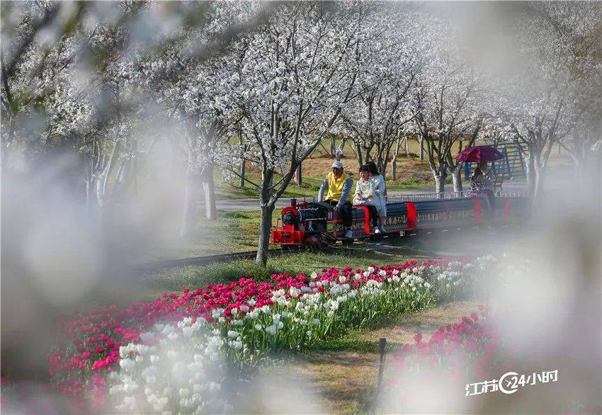 江苏24小时南京百舸争流长江江面运输船舶往来不息