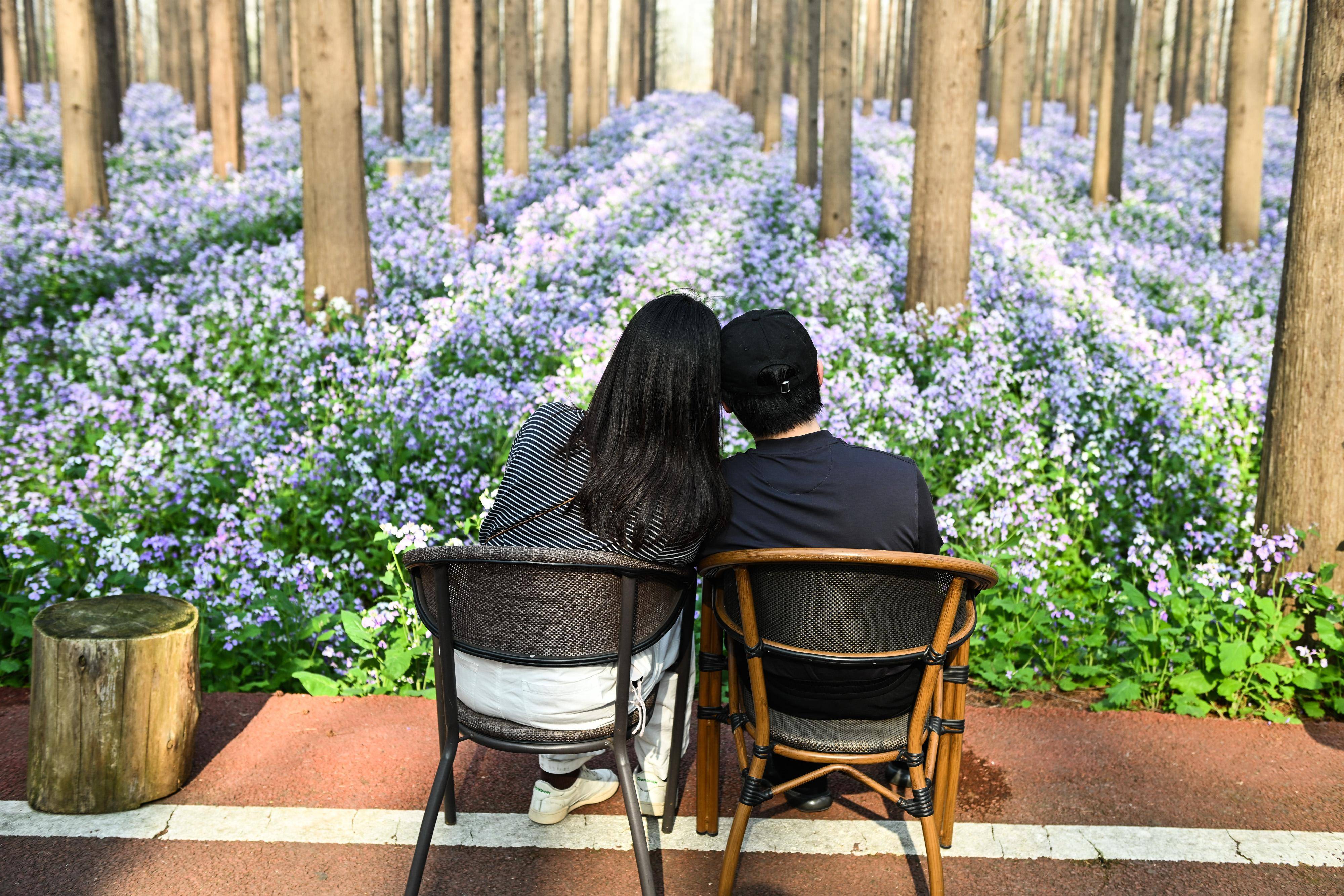 3月30日,游人在淮安金湖水上森林景区欣赏美景.