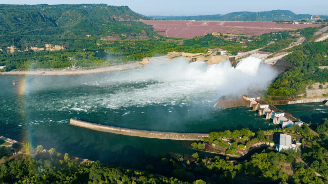 确定了我要去洛阳