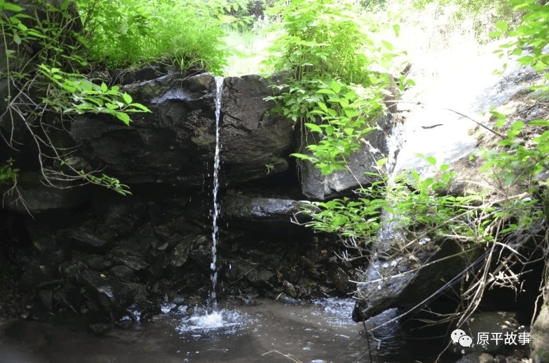 溪水清清,像跳动的音符,使整条沟富有了灵气.