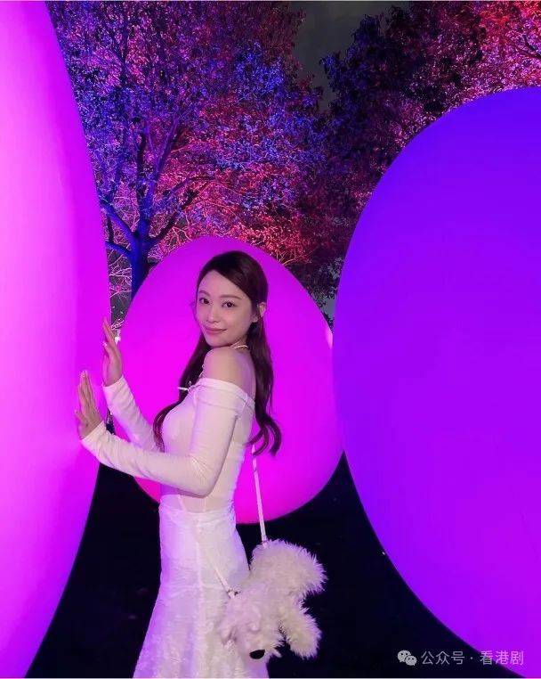 爱回家叶茜文艺术情操高睇展览四围打卡