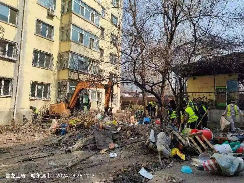 迎亚冬强管理优环境树形象哈西街道办事处全面开展人
