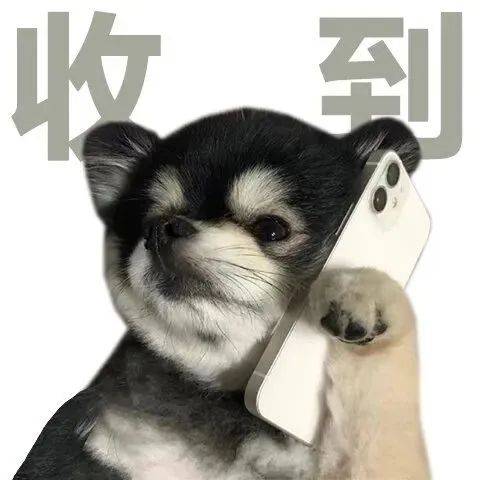 头像收藏了很久的个性头像