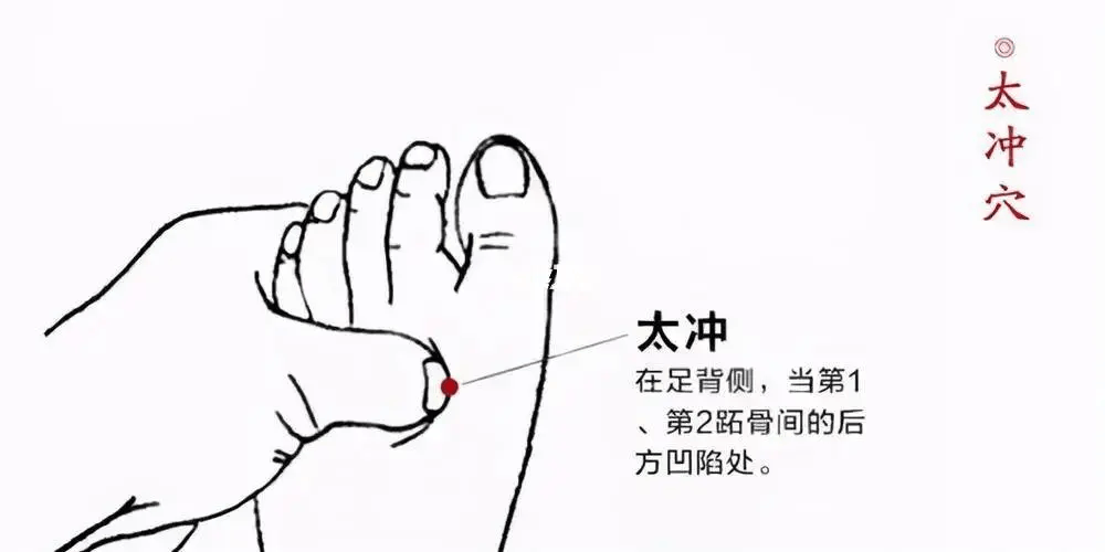 太冲穴位于足背侧,第一,二跖骨结合部之间凹陷处,太冲穴是人体足厥阴
