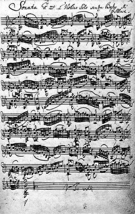 微信节目单2024女性艺术节纯粹系列安特耶魏特哈斯演绎