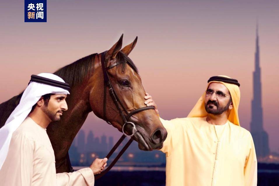 中东面面观丨世界上最昂贵的赛事迪拜赛马世界杯