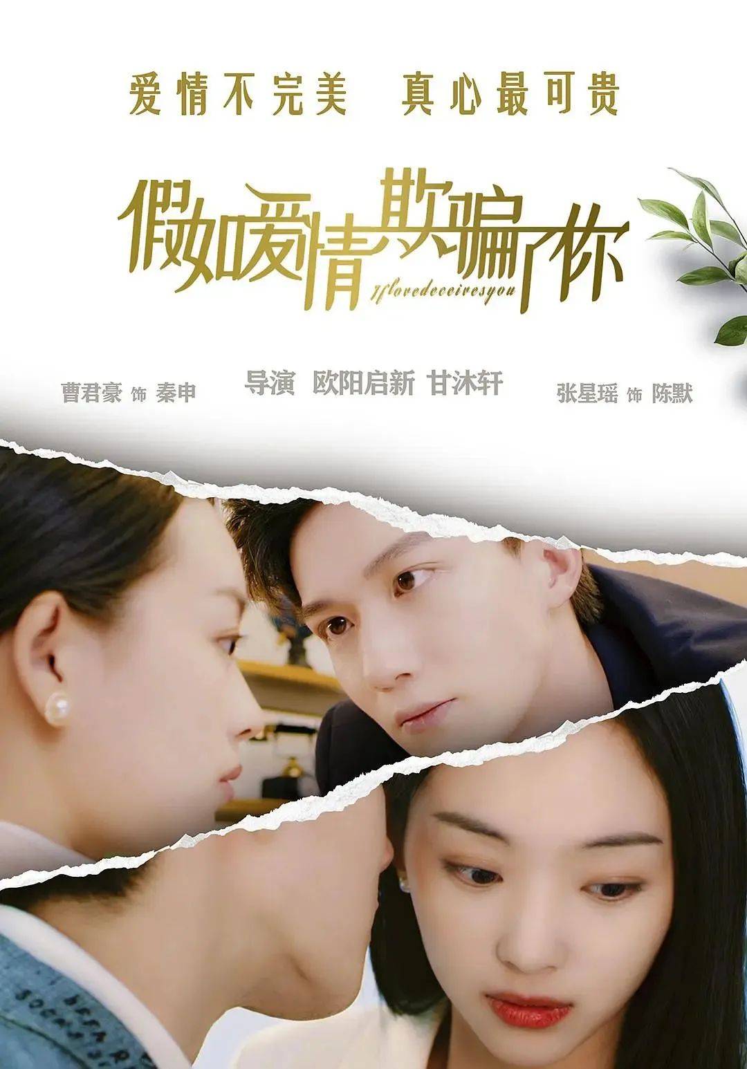 假如爱情欺骗了你剧情资深婚外情调查员秦申,致力于为脆弱的男女关系