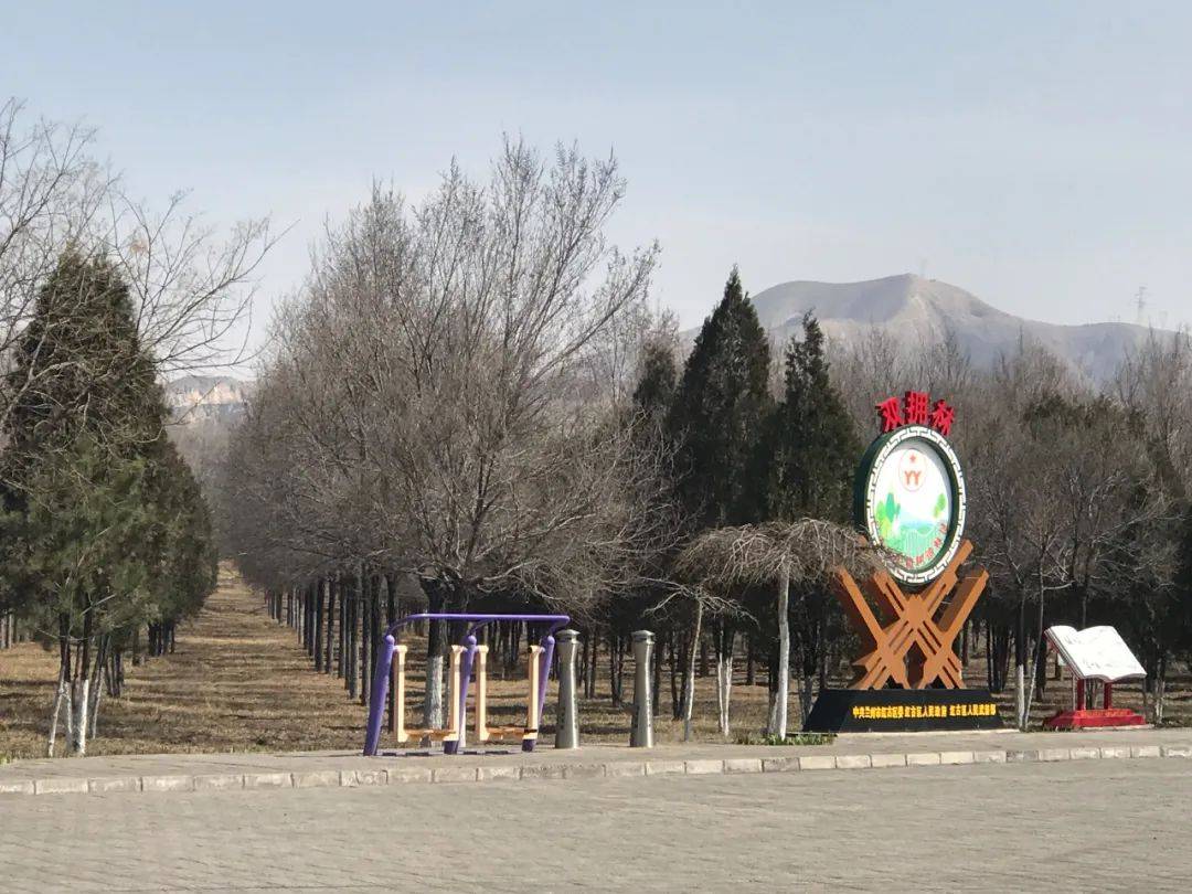 党媒记者在一线丨古镇染新绿发展焕生机红古区窑街沉陷区生态治理卓有