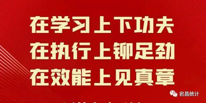 三抓三促”行动进行时】宕昌县统计局召开“三抓三促”行动集中学习暨当前重点工作推进会仪 普查 数据 审核