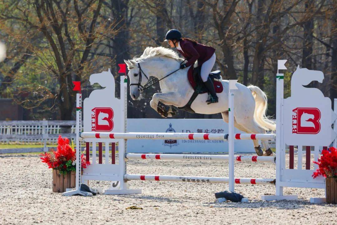 联赛战报丨2024超级马术俱乐部联赛北京天星调良马术第2站暨北京市