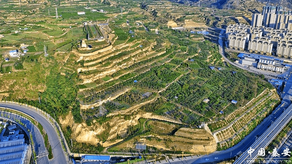 千户杏树湾位于秦安县千户镇曹湾村,距离秦安县城16公里,车程30分钟.