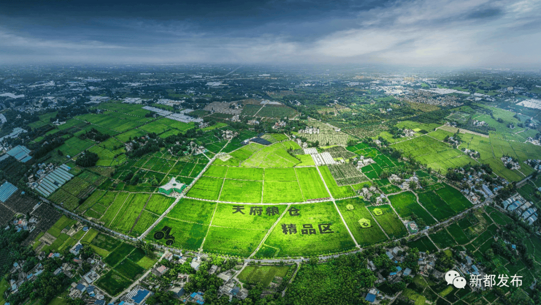 田向利率队到新都区调研