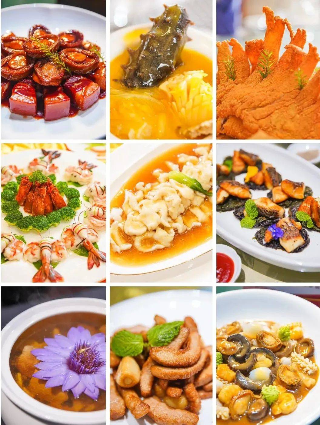 烟台这些鲁菜店铺藏不住了67→67_金海湾酒店_小渔村_电话