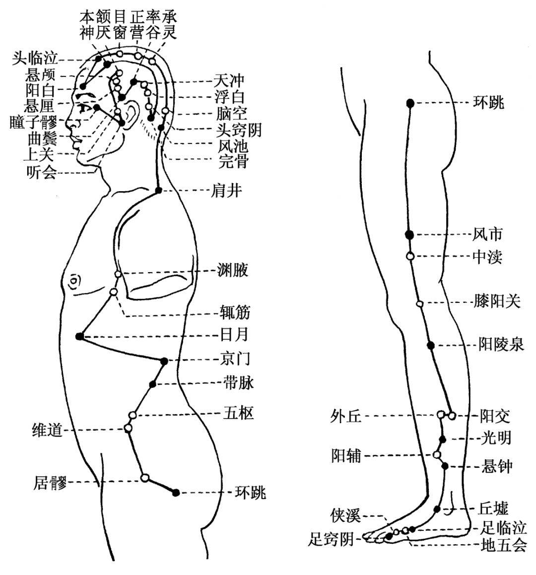 肝脾肾三条经络走向图图片