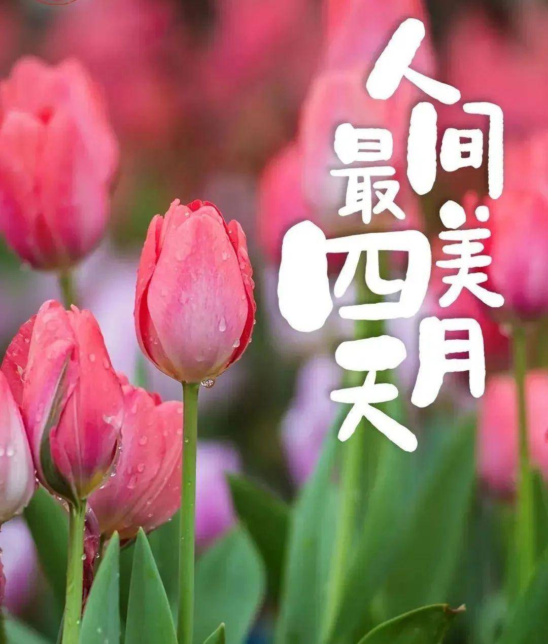 四月你好愿你我所有的梦想和期待都能如愿以偿