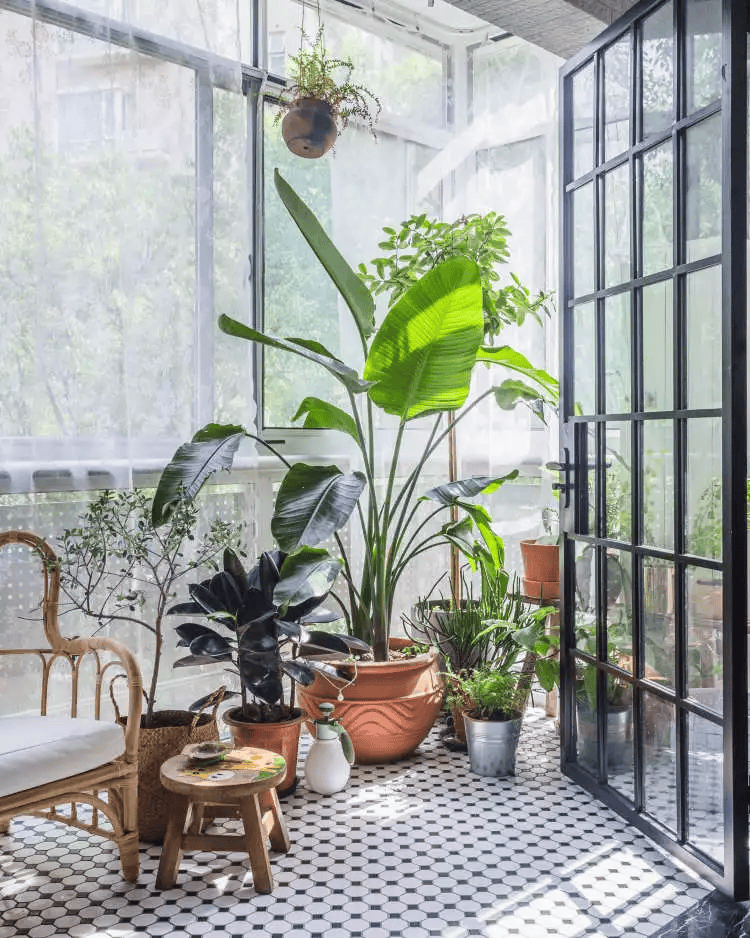 春日花园阳台,邂逅一场花草交织的自然视觉盛宴!