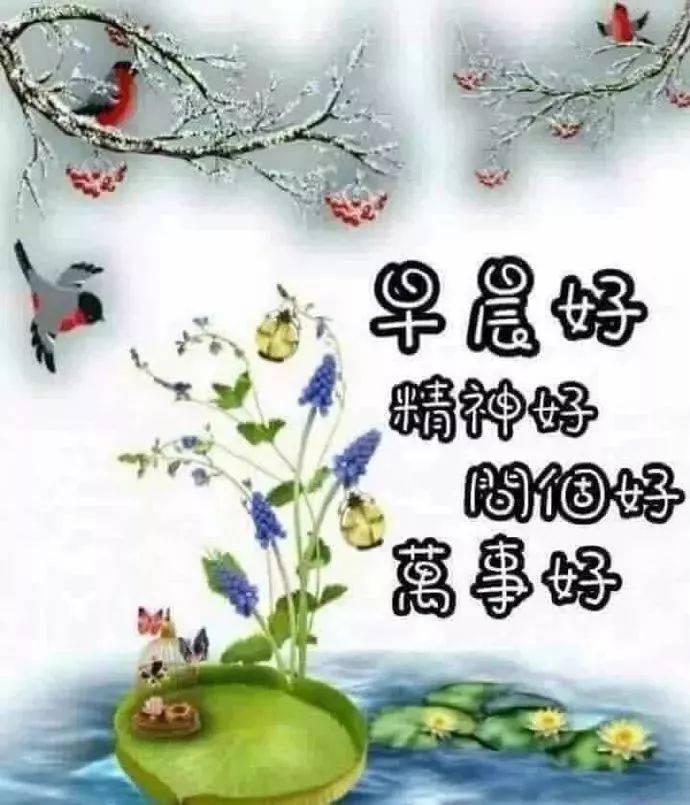 最新版清晨早上好鲜花配早安祝福文字_生命_人生路_风雨