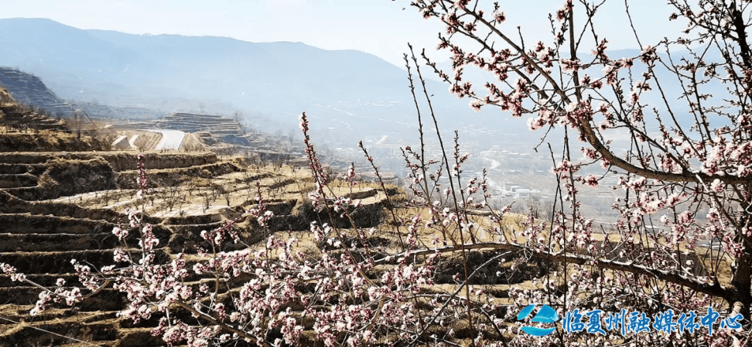 州媒看临夏县古渡碧波荡游客意正浓