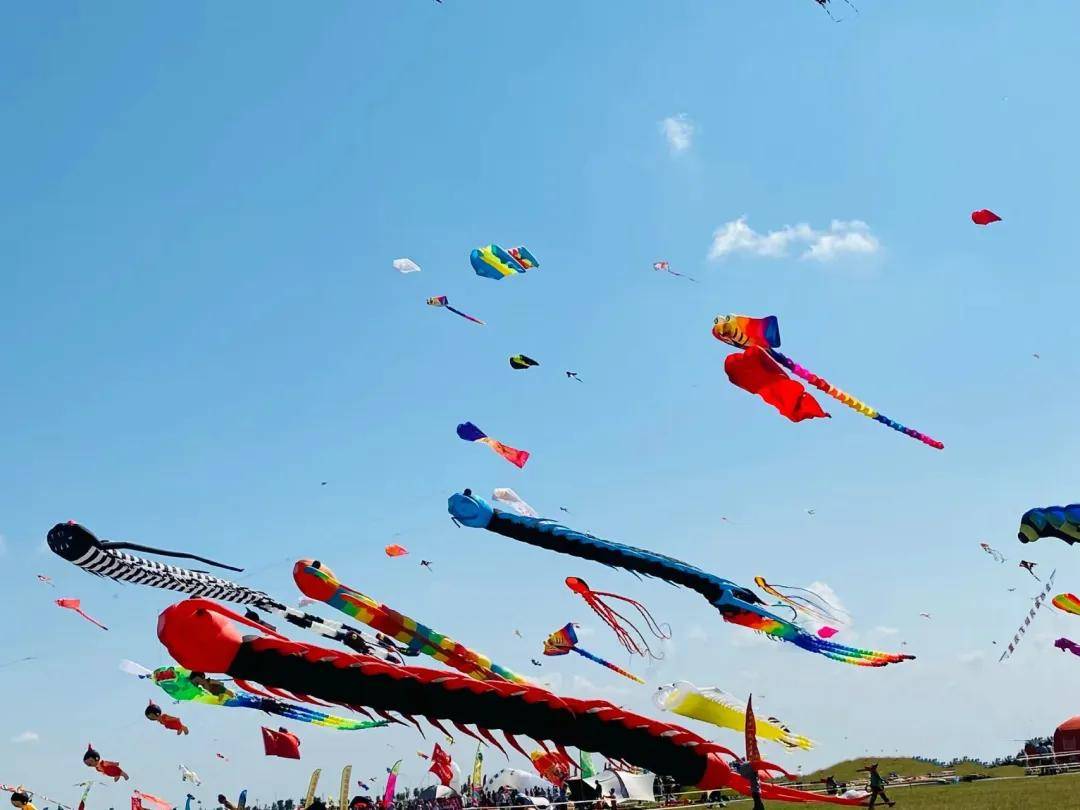 筝奇斗艳特技风筝节来啦感受这不寻常的春日追风时光