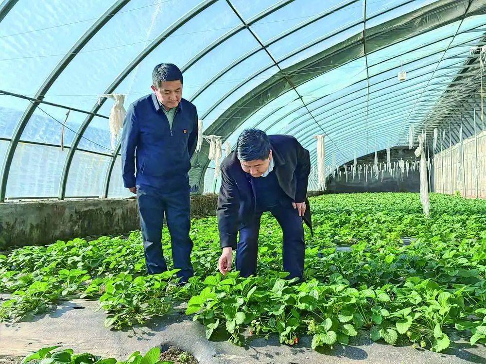 头雁领航群雁齐飞门源县创新党支部书记培育见闻