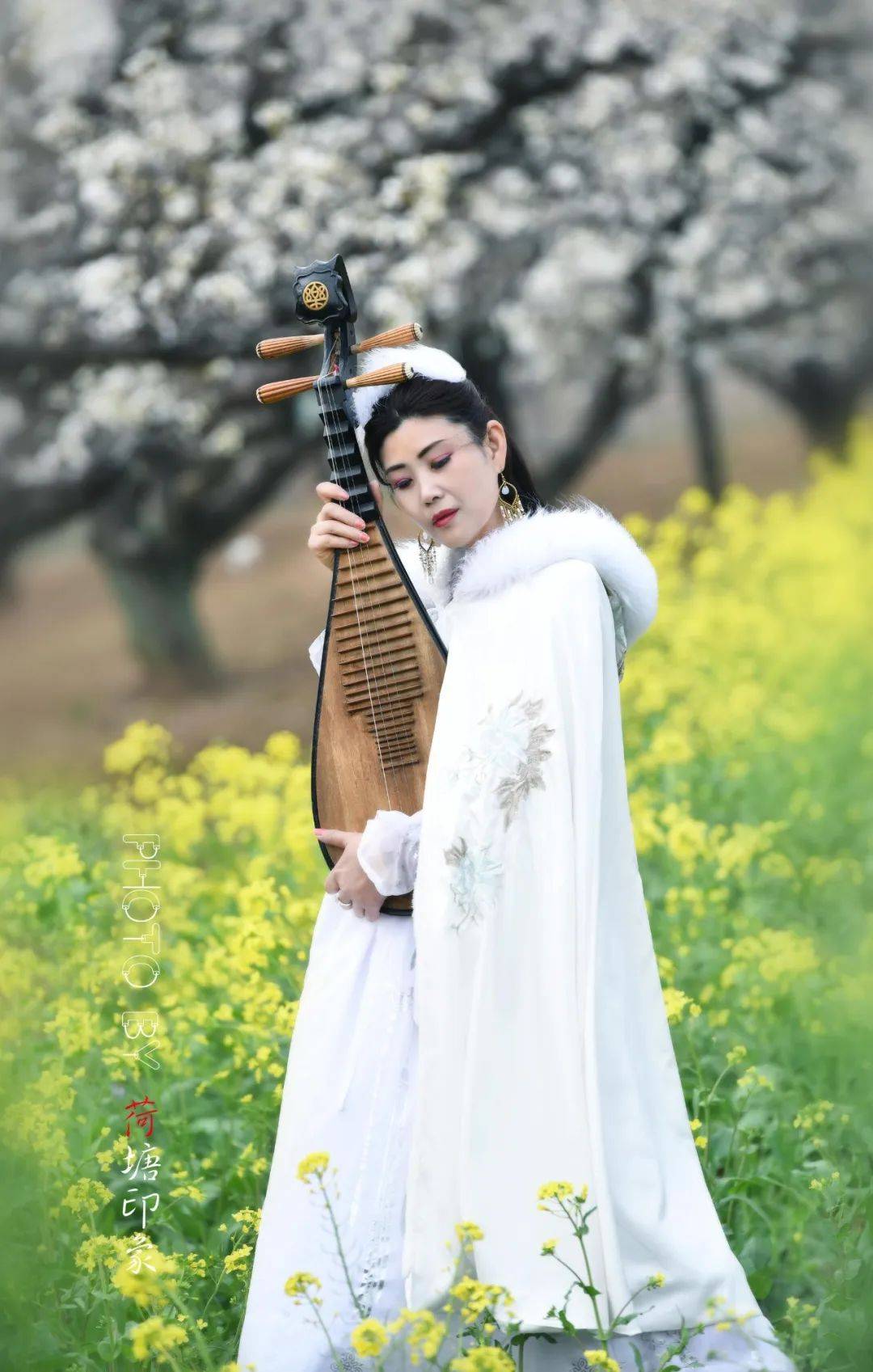 梨园琵琶行_梨花_玉女_姿容