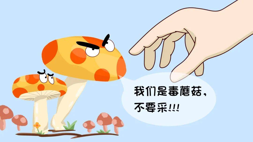 (毒蘑菇,野菜,野果等有毒植物以及河豚鱼)食源性疾病诺如病毒高发季节