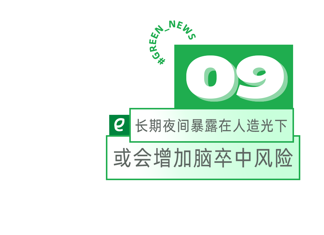 我的城市胃越来越难消化纤维了