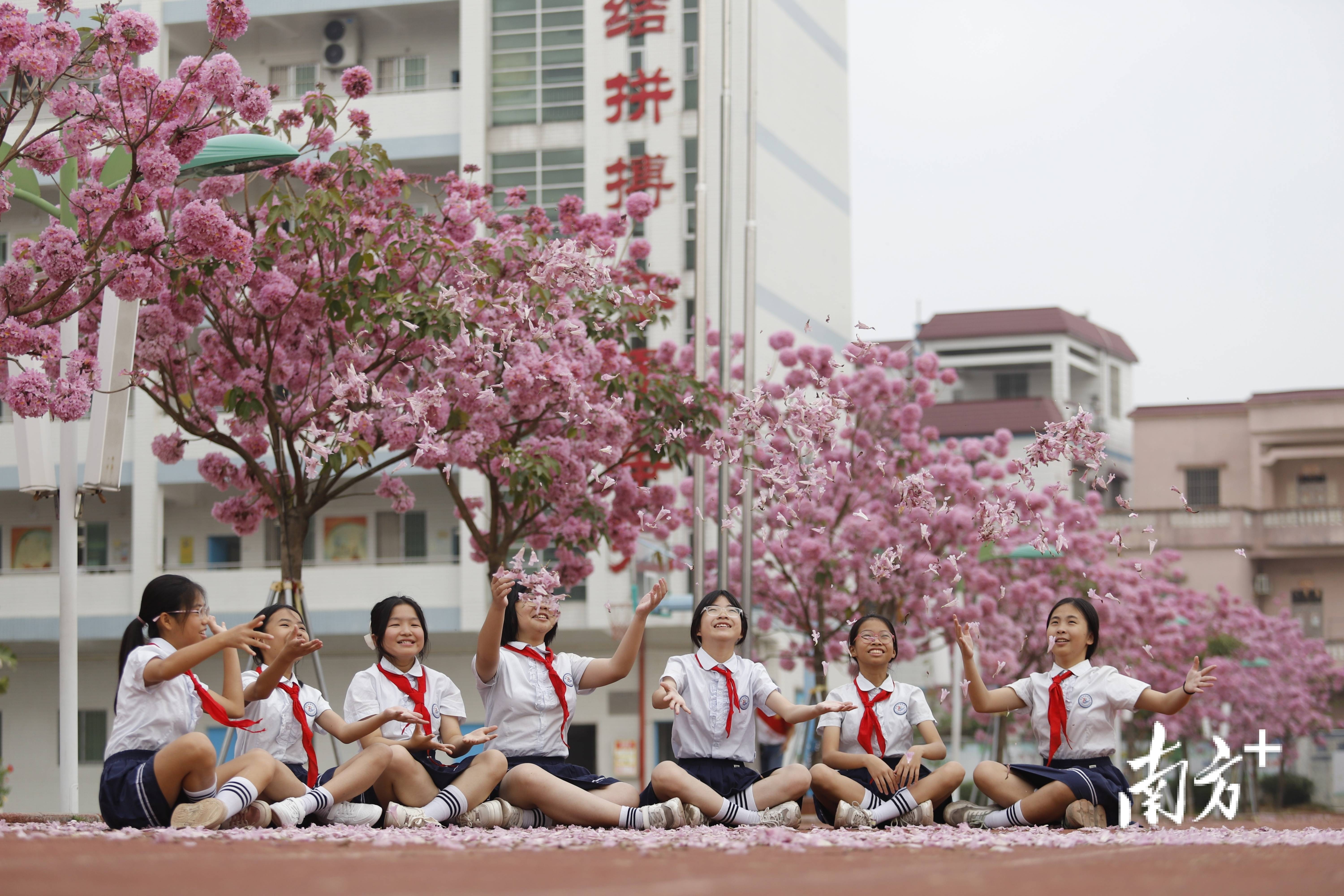 江门一中校花图片