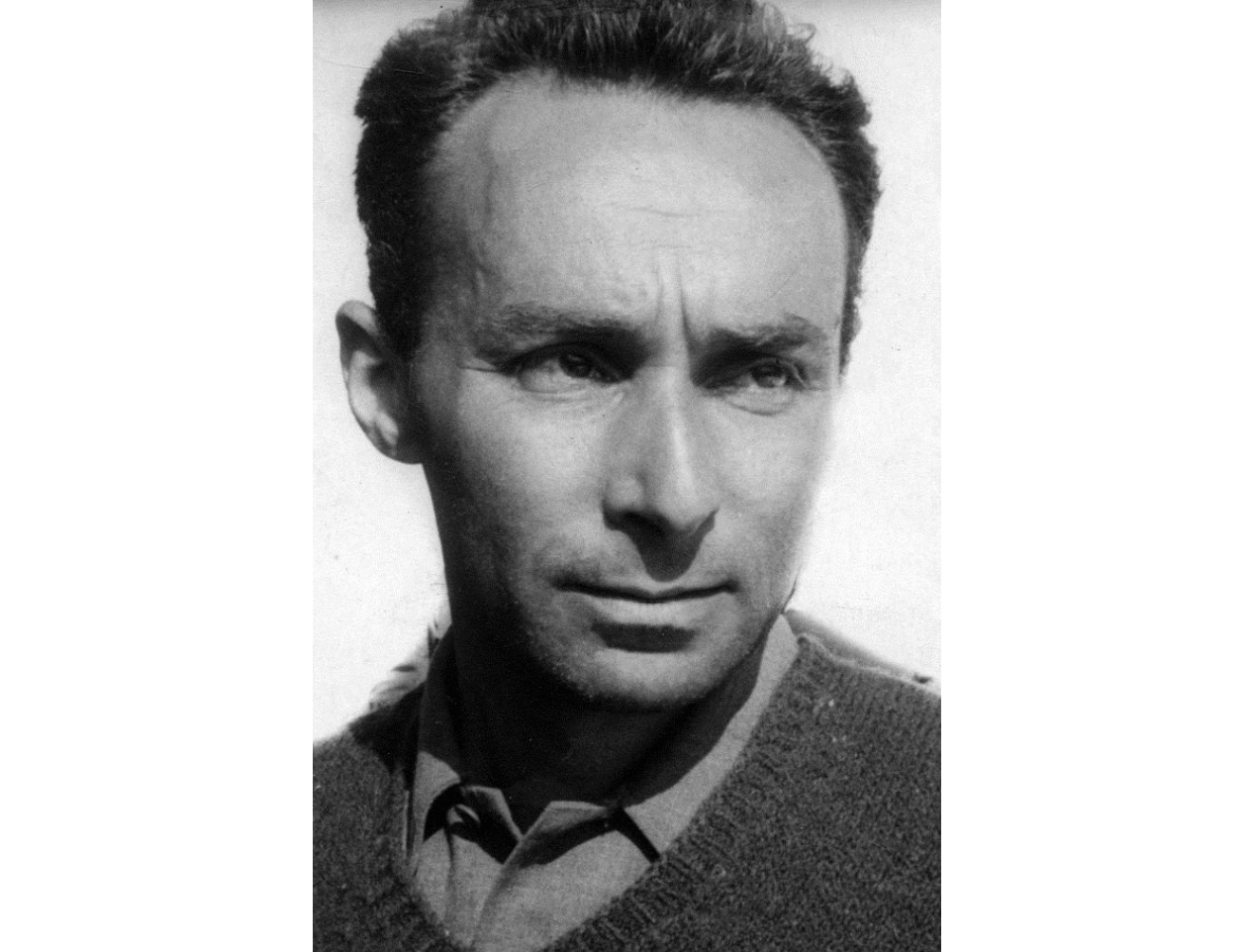 景凯旋读普里莫莱维休战生活就是一场战争永远不会结束