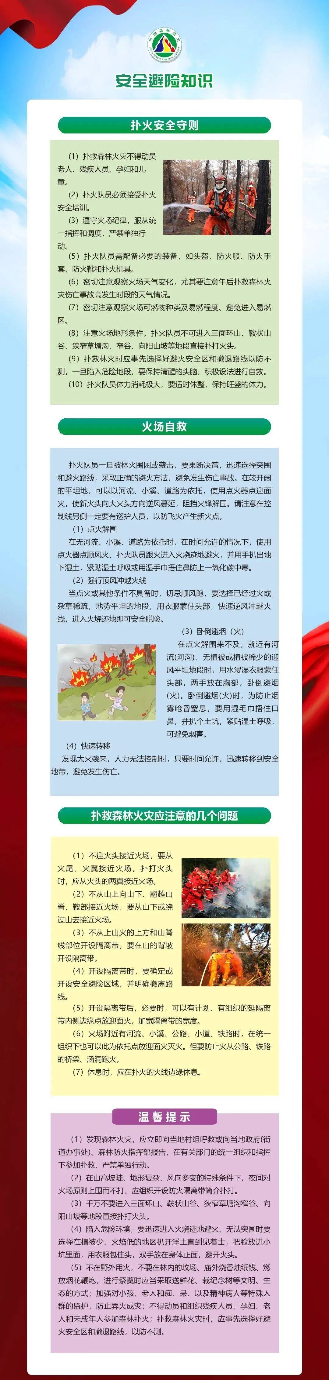 清明节森林防火简报图片