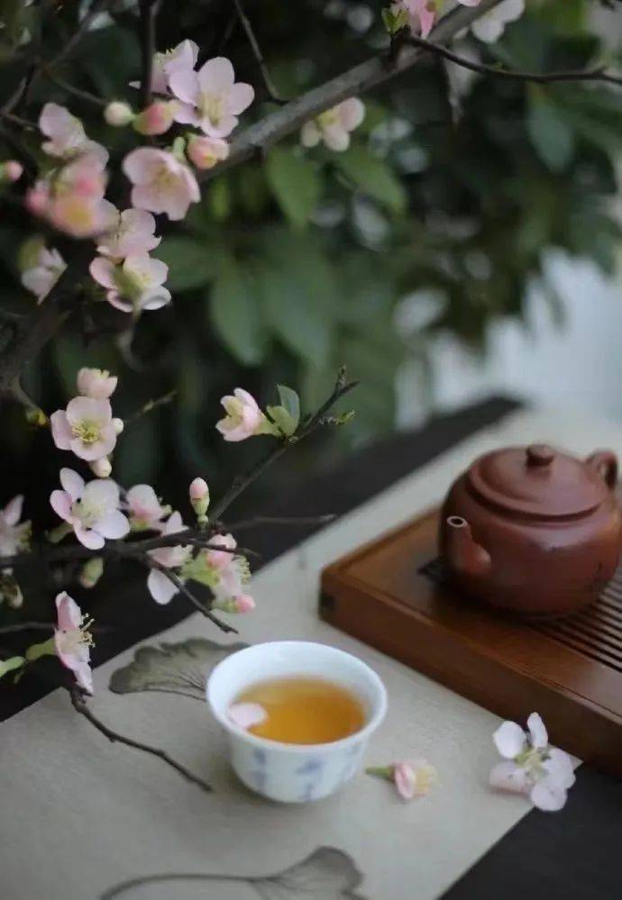 狡童丨空衔愧对千钟粟暮岁羞为百里侯