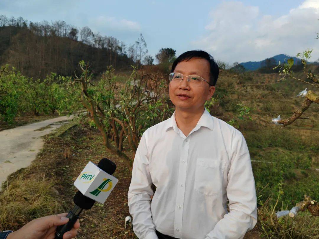 国强乡:邀农技专家为灾后生产"把脉"_冰雹_蔡荣生_进行了