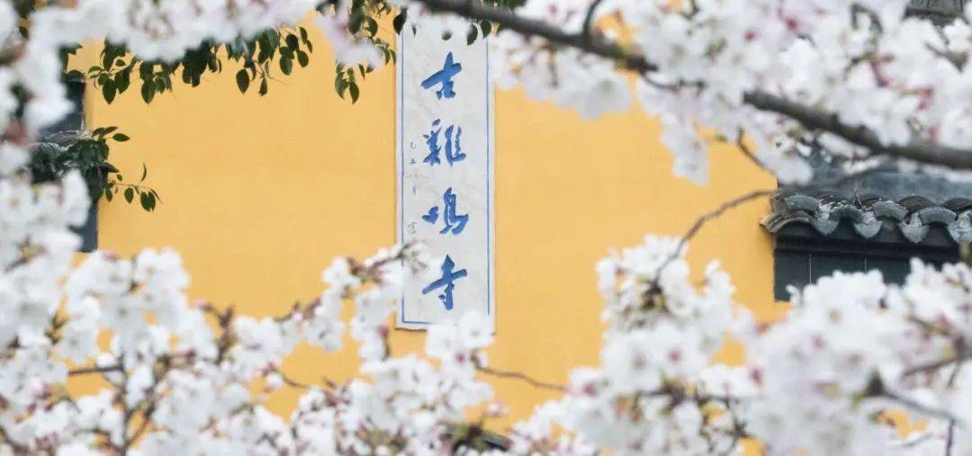 地信222李奕松作者:地信234朱宁编辑|杨   凯校对|王   芷校审|尹子豪