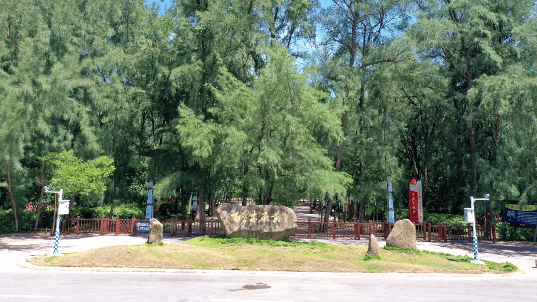 趁着假期来东山邂逅春天