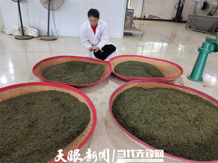 天眼镜像田坝村的春歌