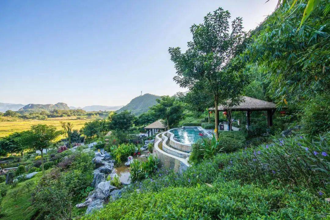 420英德自驾2天1晚快抢跟住黎探员踏青采茶趣山野住天鹅湖180湖景房