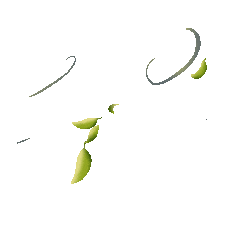 清明小长假天气了解一下阴雨绵绵