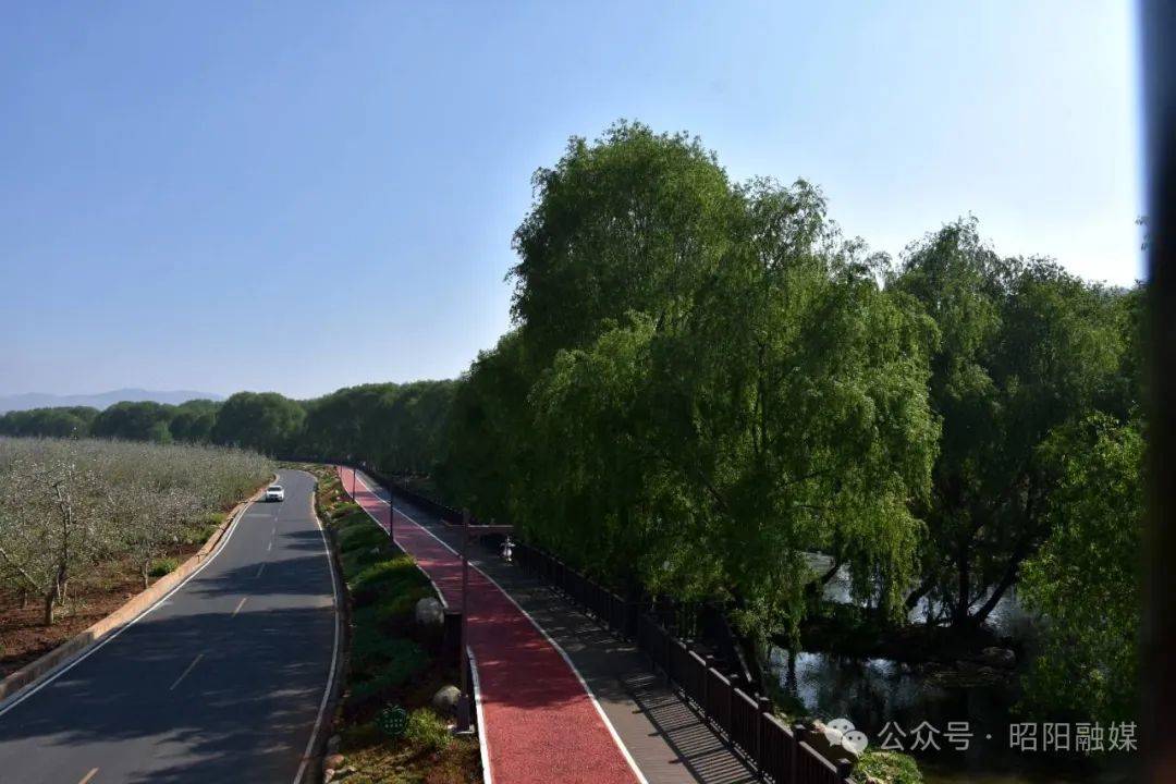 昭阳洒渔苹果花开蜂蝶绕柳绿水清春意闹