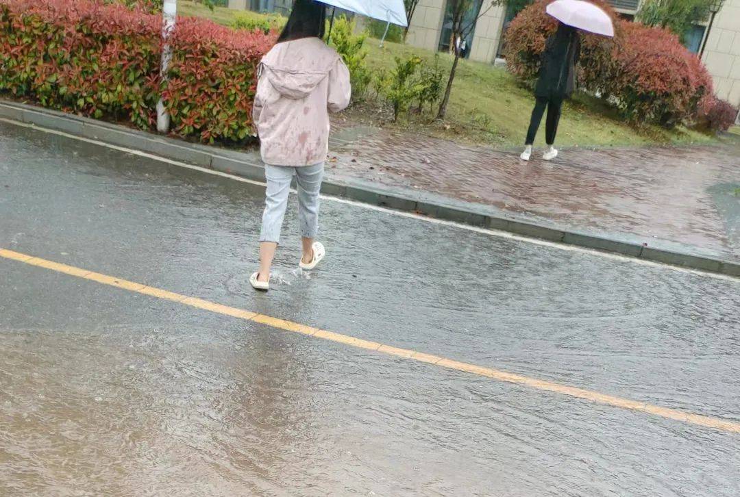 就让这大雨全都落下!