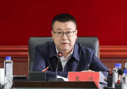 区委副书记,政府区长李谦,区委常委,组织部部长,统战部部长王莹,区