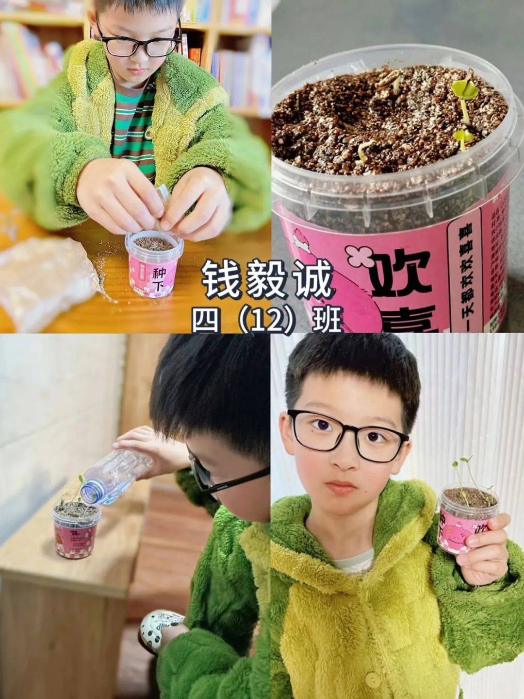 绿植小园丁 劳动润童心 ——泰州实验学校"绿植小园丁"劳动课程实践