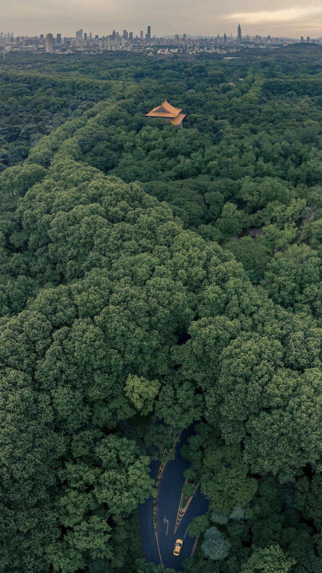 骑行路线:>瑶池山庄>桠溪国际慢城>游子山国家森林公园>武家嘴热带