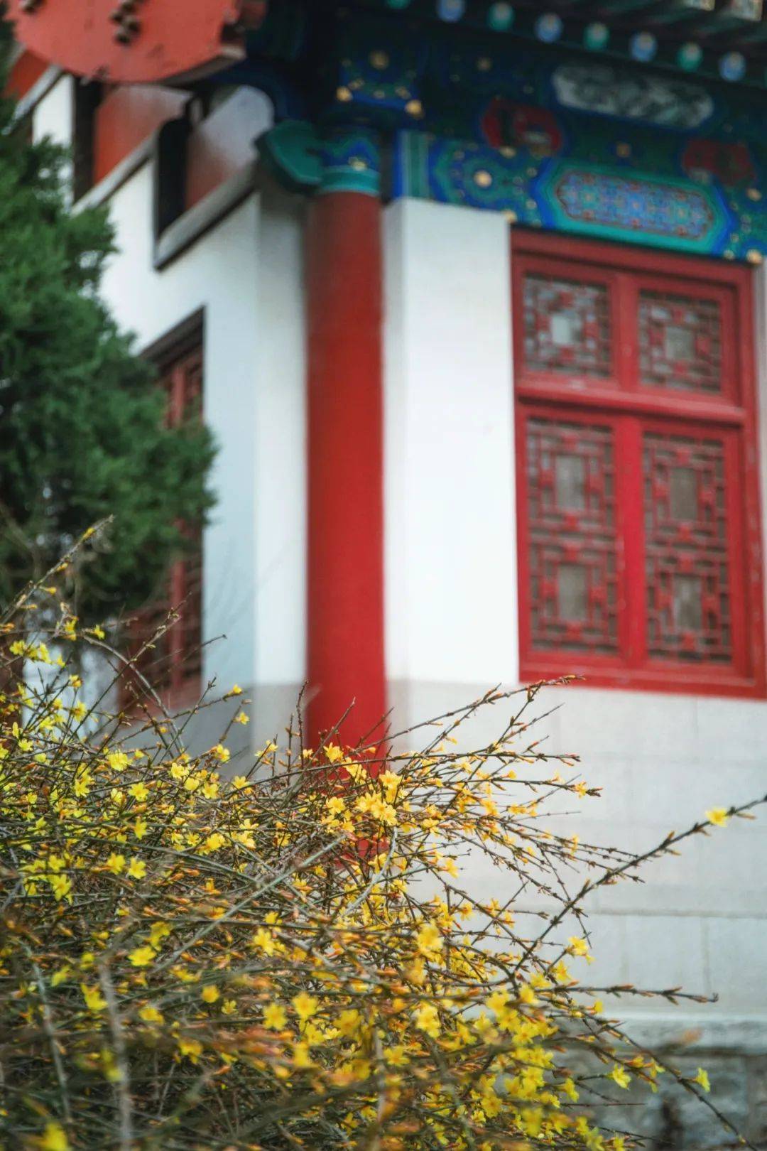 未名家长谈用心陪伴静待花开