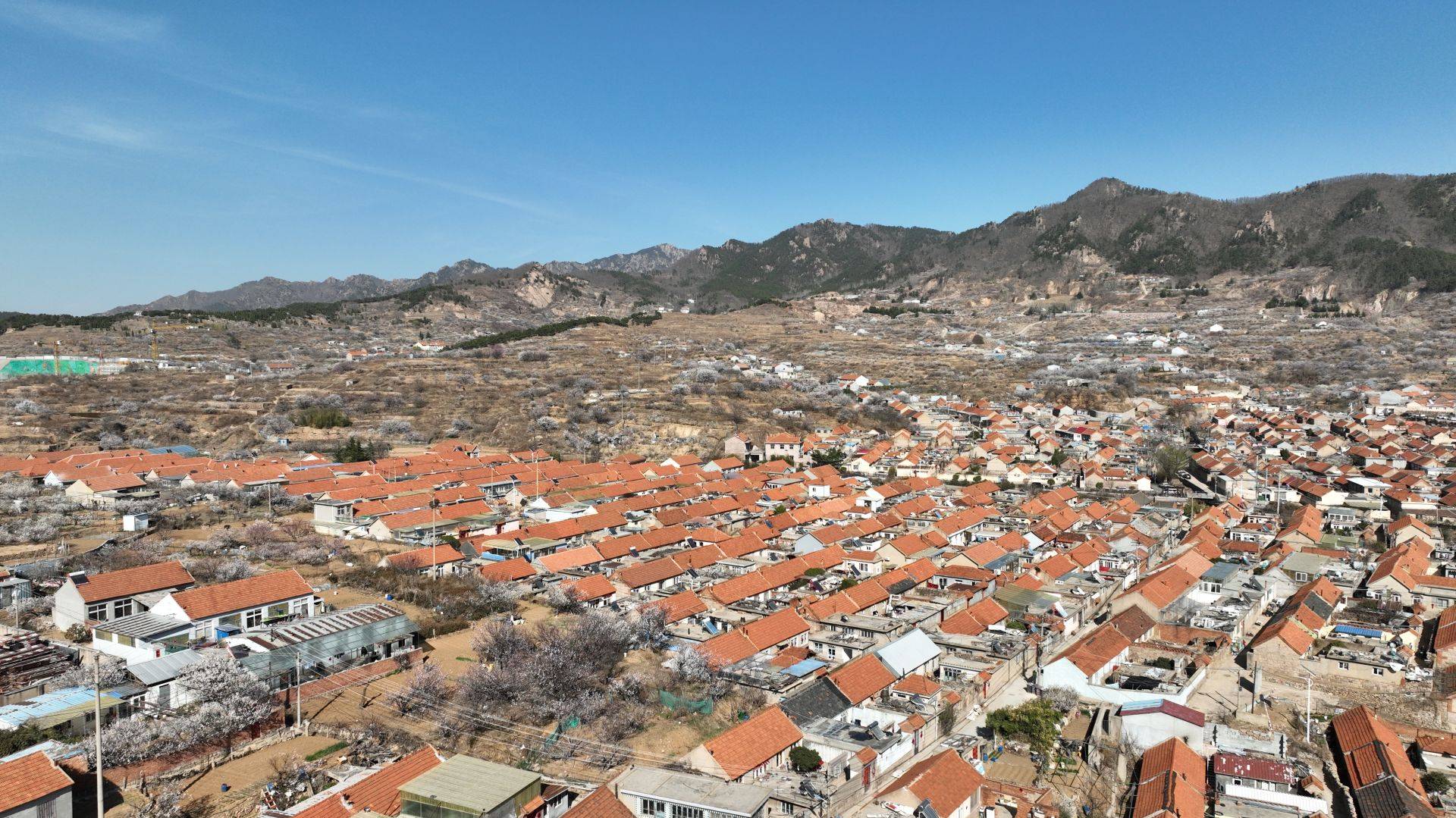 小邱帮问|东陈村已开展摸底调查 适时启动东陈社区_北