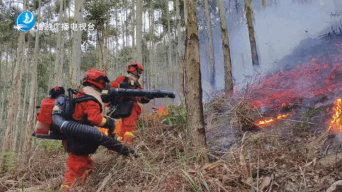 注意接连引火已有多人被拘