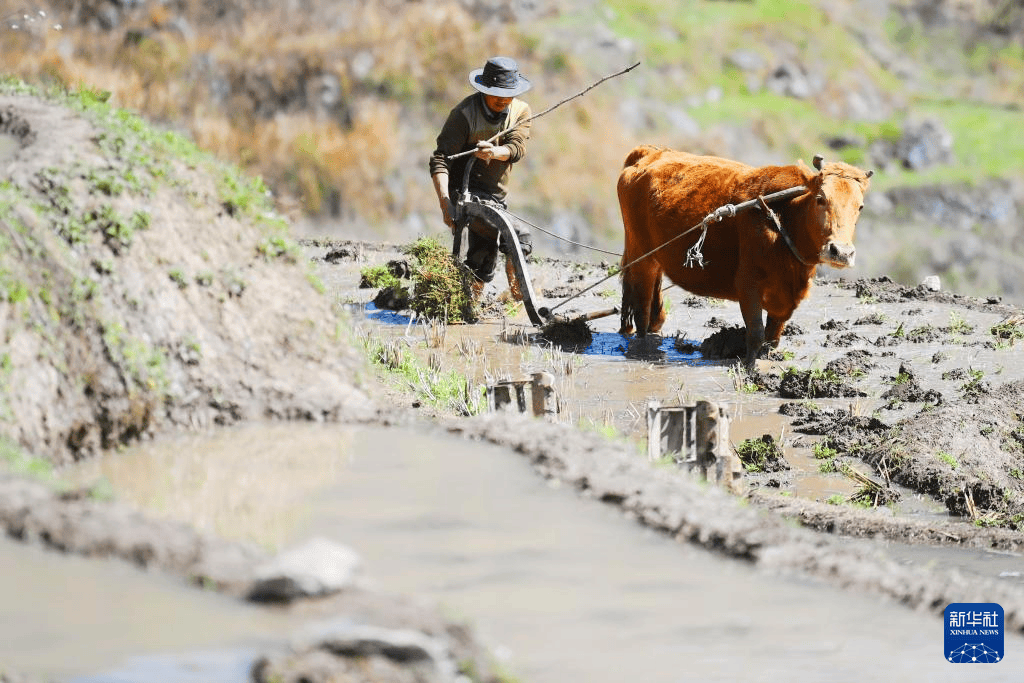 从北到南的春耕"渐变色"_东北_全国_时节