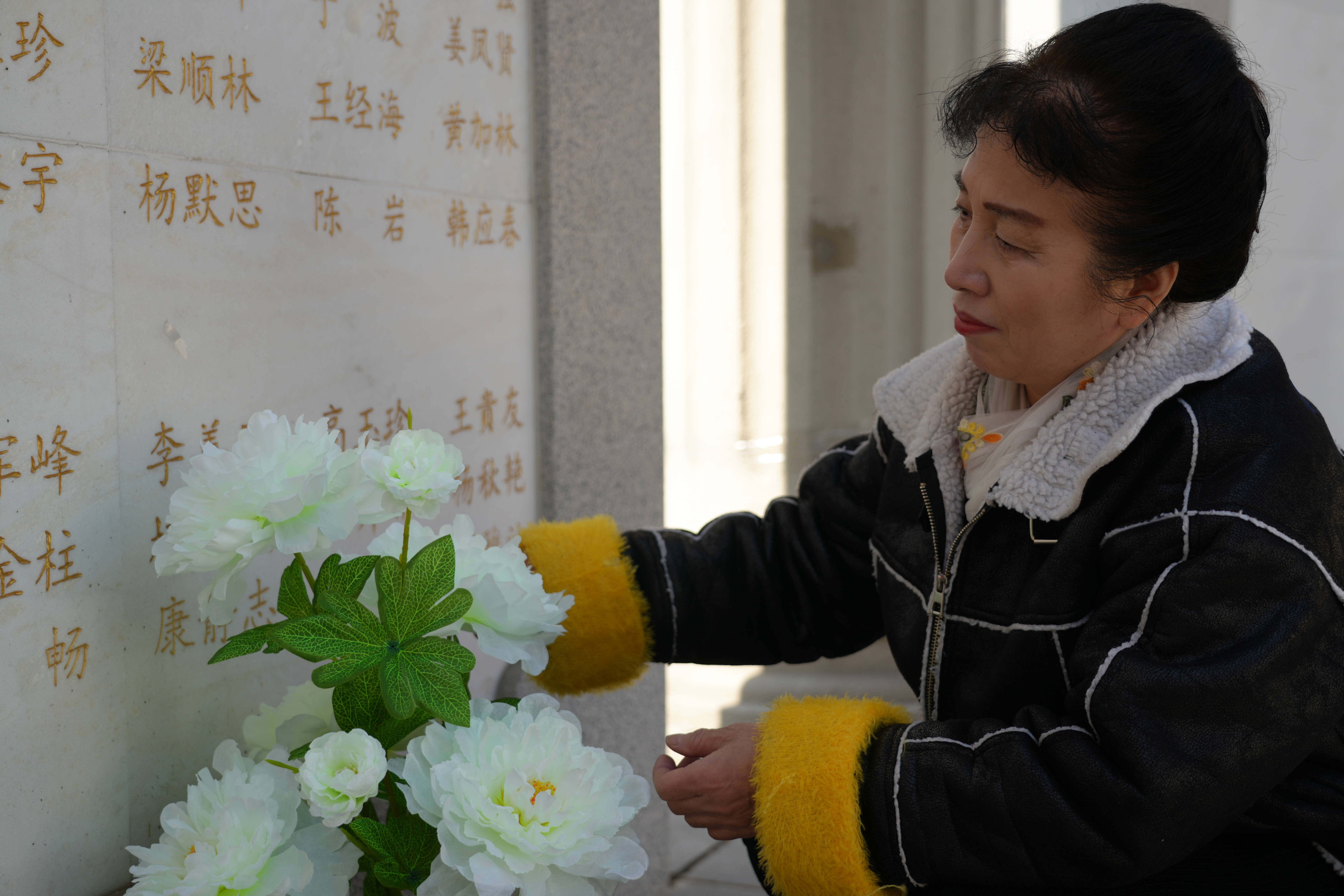 在这里,感受生命的延续