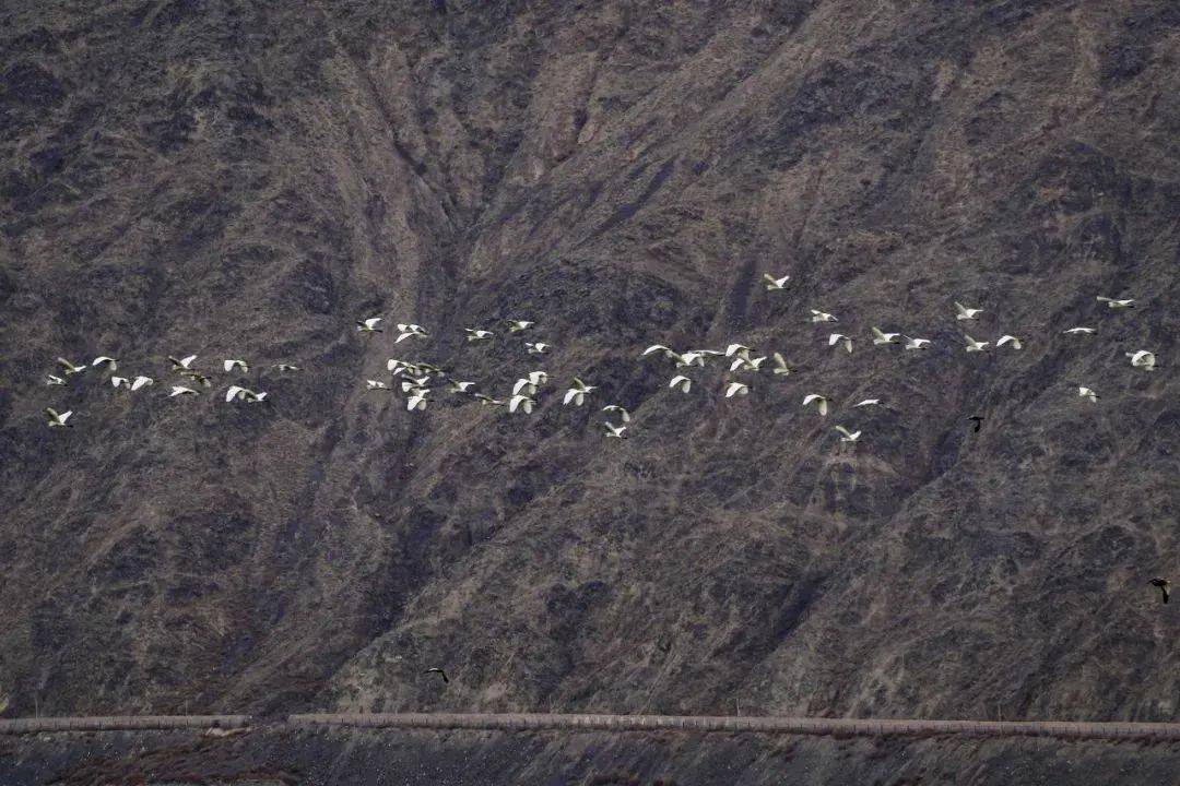 塔群位于永昌县西北约20公里处永昌县城关镇金川西村北面的龙首山余脉