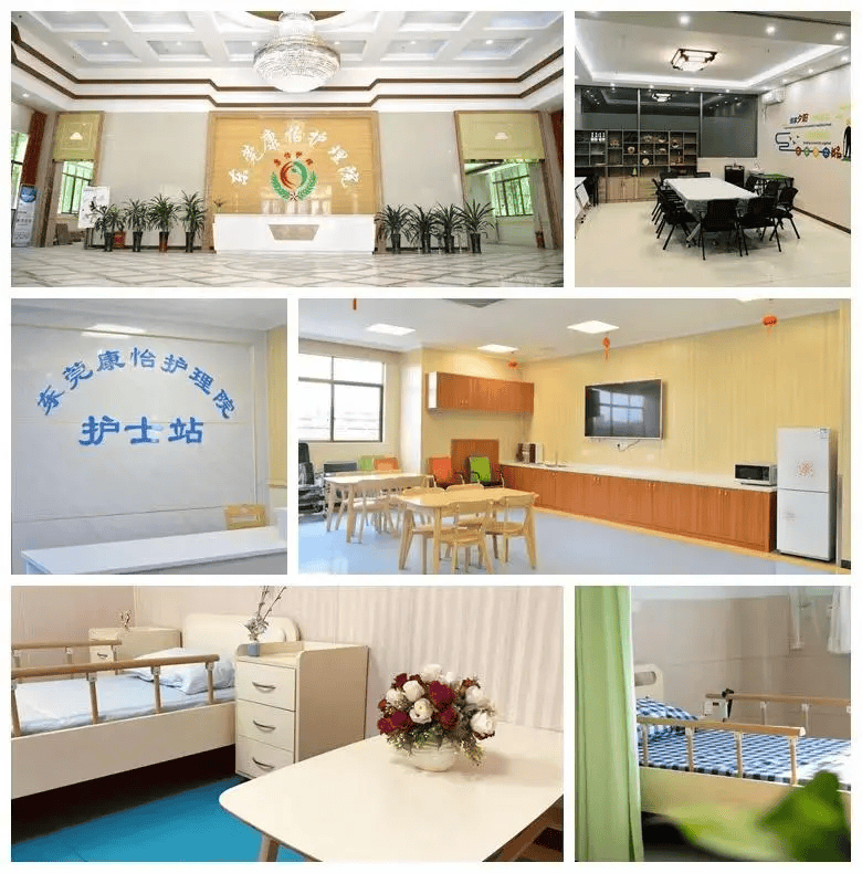 已致3死10伤,"伤亡基本为老人"_康怡_东莞市_新闻