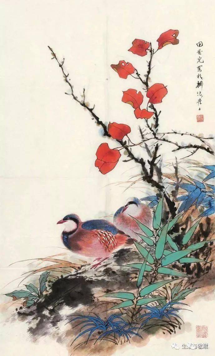 60幅花鸟画太美啦